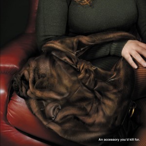 L'uso delle pellicce è crudele e inutile.Menzione Speciale per la campagna degli studenti di Accademia di Comunicazione al Design Against Fur 2008.